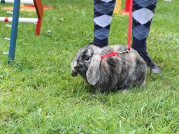 IMG_1307_web
